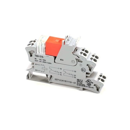 Blodgett Relay, Interface 2 Pole 115V 61079